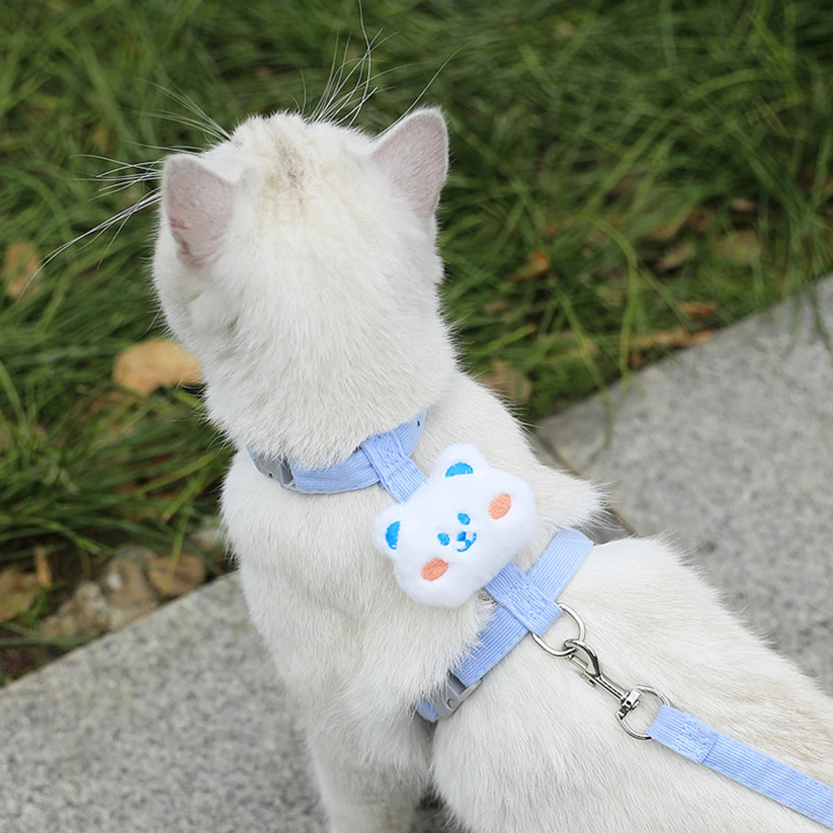 Adjustable Cat & Small Dog Harness with Leash – Breathable Walking Strap Set, Size S / M